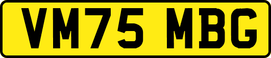 VM75MBG
