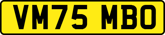 VM75MBO