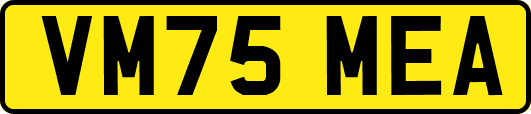 VM75MEA
