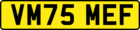 VM75MEF