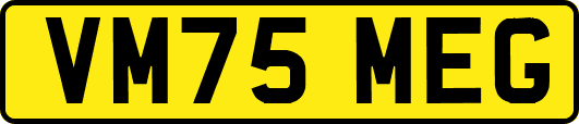 VM75MEG