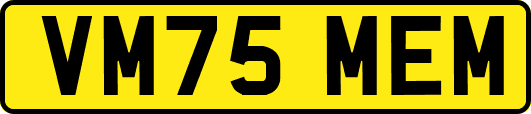 VM75MEM