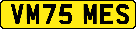 VM75MES