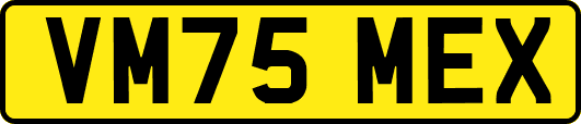 VM75MEX