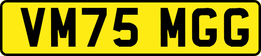 VM75MGG