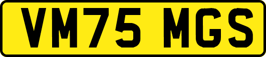 VM75MGS