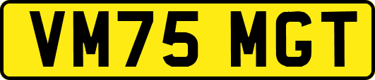 VM75MGT