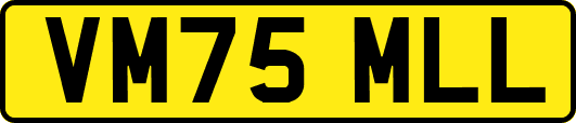VM75MLL