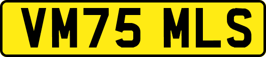 VM75MLS