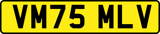 VM75MLV