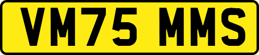 VM75MMS