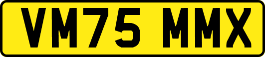 VM75MMX