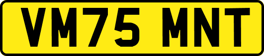 VM75MNT