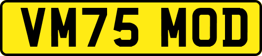 VM75MOD