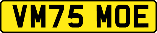 VM75MOE