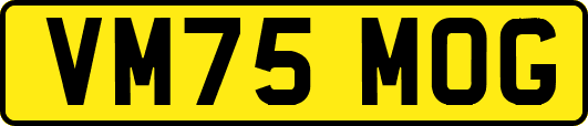 VM75MOG