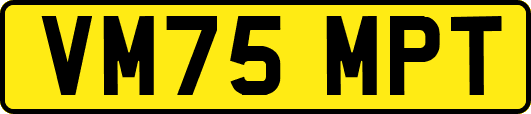 VM75MPT