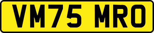 VM75MRO
