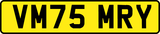 VM75MRY