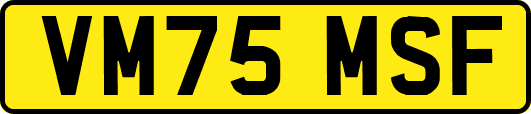 VM75MSF