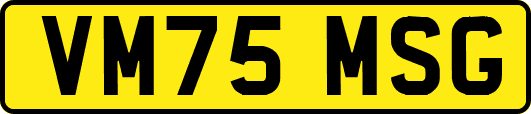 VM75MSG