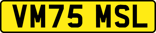 VM75MSL