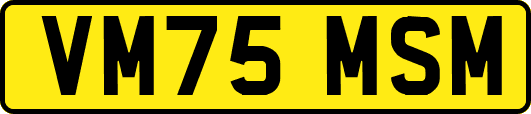 VM75MSM