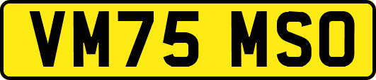VM75MSO