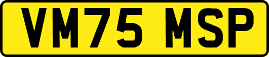 VM75MSP