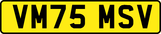 VM75MSV