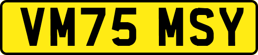 VM75MSY