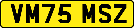 VM75MSZ