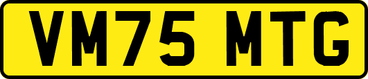 VM75MTG