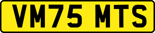 VM75MTS