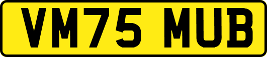 VM75MUB