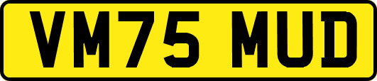 VM75MUD