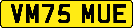 VM75MUE