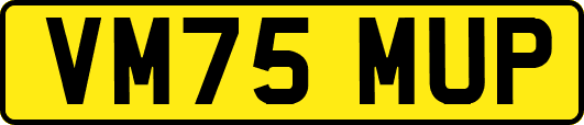 VM75MUP