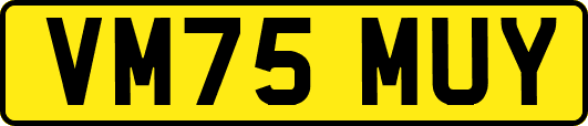 VM75MUY