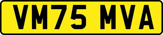 VM75MVA