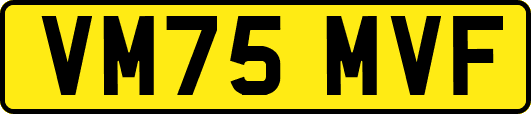 VM75MVF