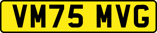 VM75MVG