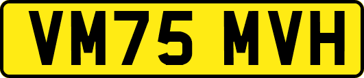 VM75MVH