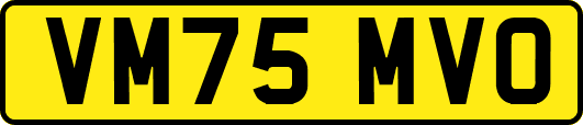 VM75MVO