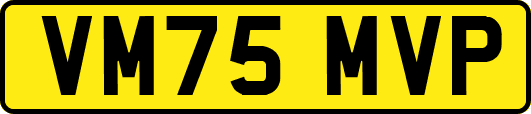 VM75MVP