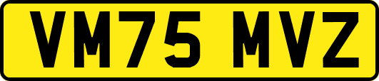 VM75MVZ
