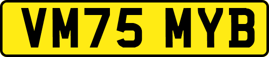 VM75MYB