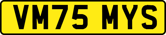 VM75MYS
