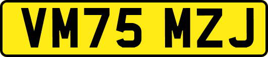 VM75MZJ