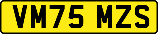 VM75MZS